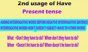 2nd usage of Have Present tense Adding interrogative negativ